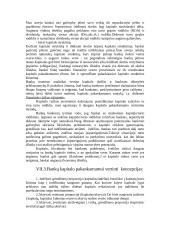 Bankų kapitalo analizė 3 puslapis