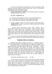 Bankų kapitalo analizė 4 puslapis