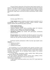 Bankų kapitalo analizė 5 puslapis