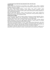 Konkurencijos samprata 2 puslapis