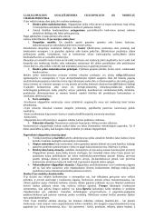 Konkurencijos samprata 5 puslapis