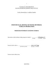 Individualių įmonių bei ūkinių bendrijų veiklos problemos