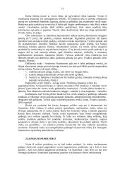 Individualių įmonių bei ūkinių bendrijų veiklos problemos 13 puslapis