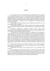 Individualių įmonių bei ūkinių bendrijų veiklos problemos 3 puslapis