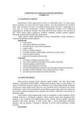 Individualių įmonių bei ūkinių bendrijų veiklos problemos 4 puslapis