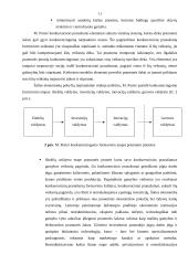 Grūdų perdirbimo pramonė Lietuvoje 11 puslapis