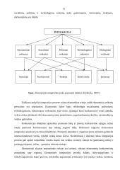 Grūdų perdirbimo pramonė Lietuvoje 15 puslapis