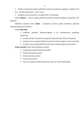 Grūdų perdirbimo pramonė Lietuvoje 6 puslapis