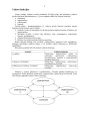 Šiuolaikinės organizacijos vadovo vaidmenys bei funkcijos 4 puslapis
