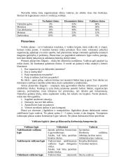 Šiuolaikinės organizacijos vadovo vaidmenys bei funkcijos 5 puslapis