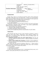 Šiuolaikinės organizacijos vadovo vaidmenys bei funkcijos 6 puslapis