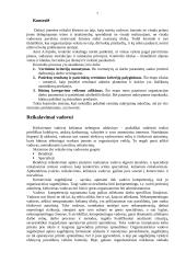 Šiuolaikinės organizacijos vadovo vaidmenys bei funkcijos 7 puslapis