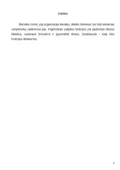 Buvusių įmonių valdymo problemos 2 puslapis