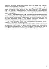 Buvusių įmonių valdymo problemos 5 puslapis