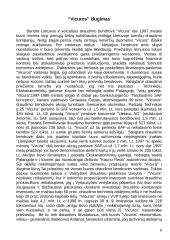 Buvusių įmonių valdymo problemos 6 puslapis