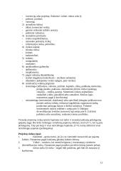 Verslo rizika ir draudimas 2 puslapis