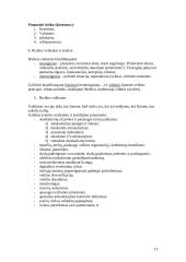 Verslo rizika ir draudimas 3 puslapis