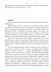 Ryšių su visuomene esmė 17 puslapis