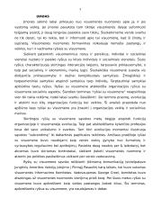 Ryšių su visuomene esmė 3 puslapis