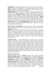 Pagrindinės marketingo sąvokos ir teorija 6 puslapis