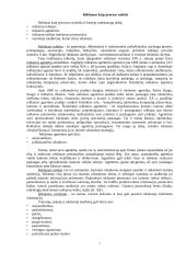 Reklama bei jos ypatumai 7 puslapis