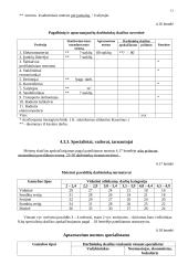 Veiklos (produkto, paslaugų) kūrimas bei vykdymas 13 puslapis