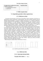 Veiklos (produkto, paslaugų) kūrimas bei vykdymas 17 puslapis