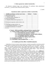 Veiklos (produkto, paslaugų) kūrimas bei vykdymas 3 puslapis