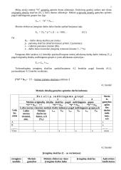 Veiklos (produkto, paslaugų) kūrimas bei vykdymas 5 puslapis