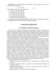 Valdymo uždavinių modeliai 11 puslapis