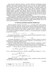 Valdymo uždavinių modeliai 13 puslapis