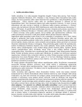 Auditas Lietuvoje 2 puslapis