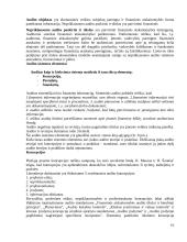 Auditas Lietuvoje 16 puslapis