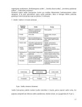 Auditas Lietuvoje 17 puslapis