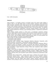 Auditas Lietuvoje 18 puslapis