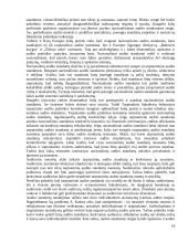 Auditas Lietuvoje 19 puslapis