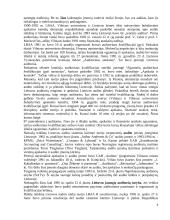 Auditas Lietuvoje 4 puslapis