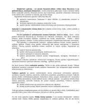 Auditas Lietuvoje 9 puslapis