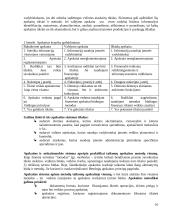 Auditas Lietuvoje 10 puslapis