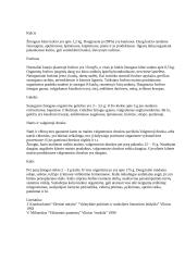 Chemija bei mityba 2 puslapis