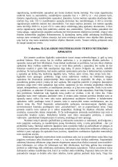 Ilgalaikio turto nusidėvėjimo sąnaudų apskaičiavimas 19 puslapis