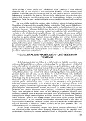 Ilgalaikio turto nusidėvėjimo sąnaudų apskaičiavimas 20 puslapis