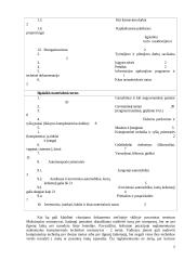 Ilgalaikio turto nusidėvėjimo sąnaudų apskaičiavimas 7 puslapis