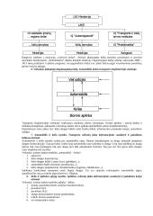 Automobilių kelių inžinerija 2 puslapis