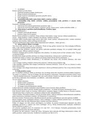 Automobilių kelių inžinerija 3 puslapis