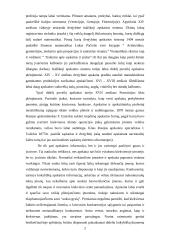 Dvejybinio įrašo atsiradimo apskaitoje reikšmė 2 puslapis