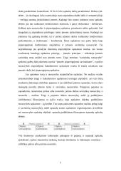 Dvejybinio įrašo atsiradimo apskaitoje reikšmė 5 puslapis