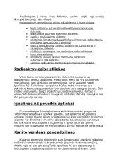 Lietuva su atomine energija 4 puslapis