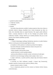 Aplinkos oro užterštumo kenksmingosiomis dujomis ir garais tyrimas 4 puslapis