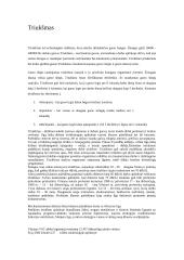 Aplinka ir triukšmas